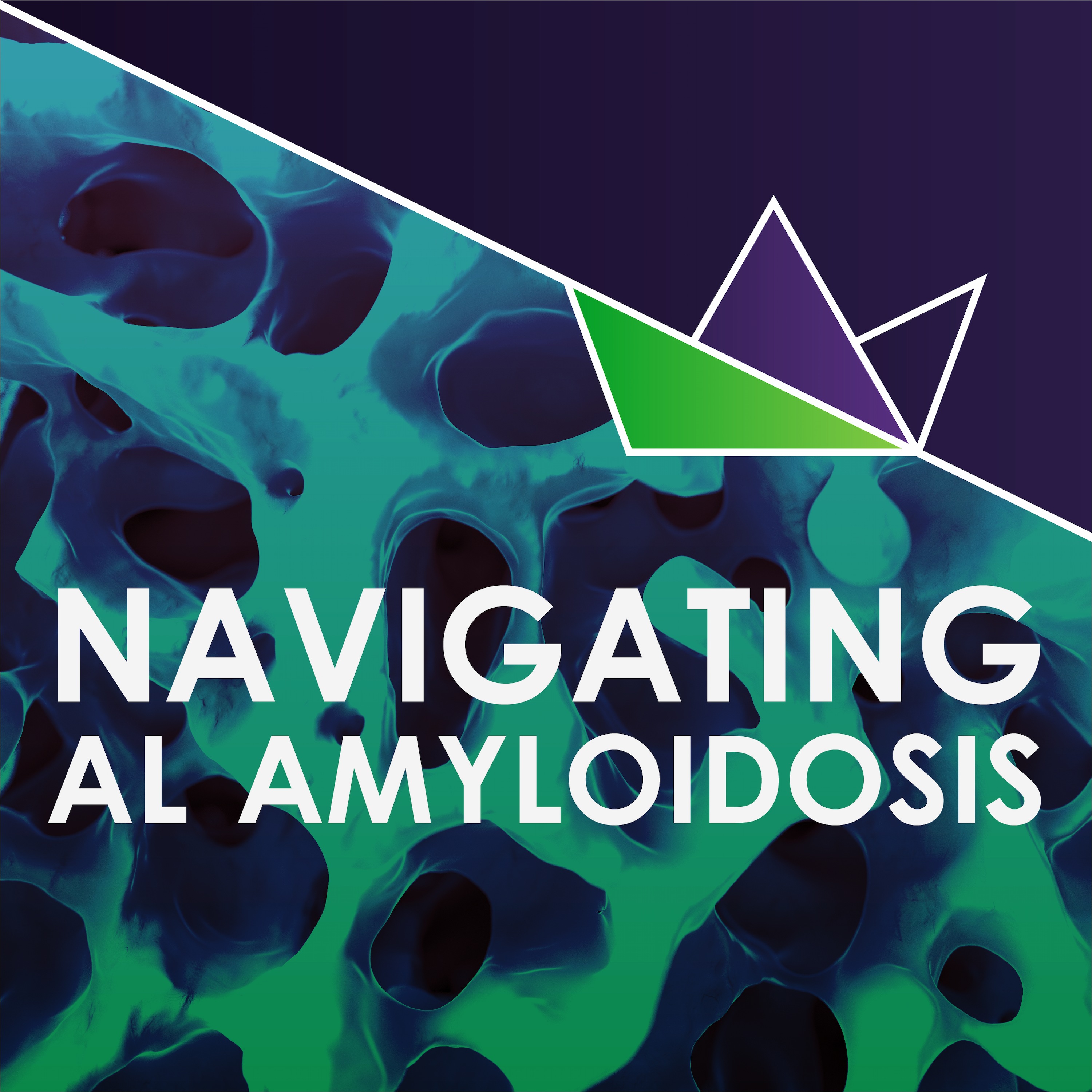 Navigating AL amyloidosis