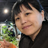 알로하!