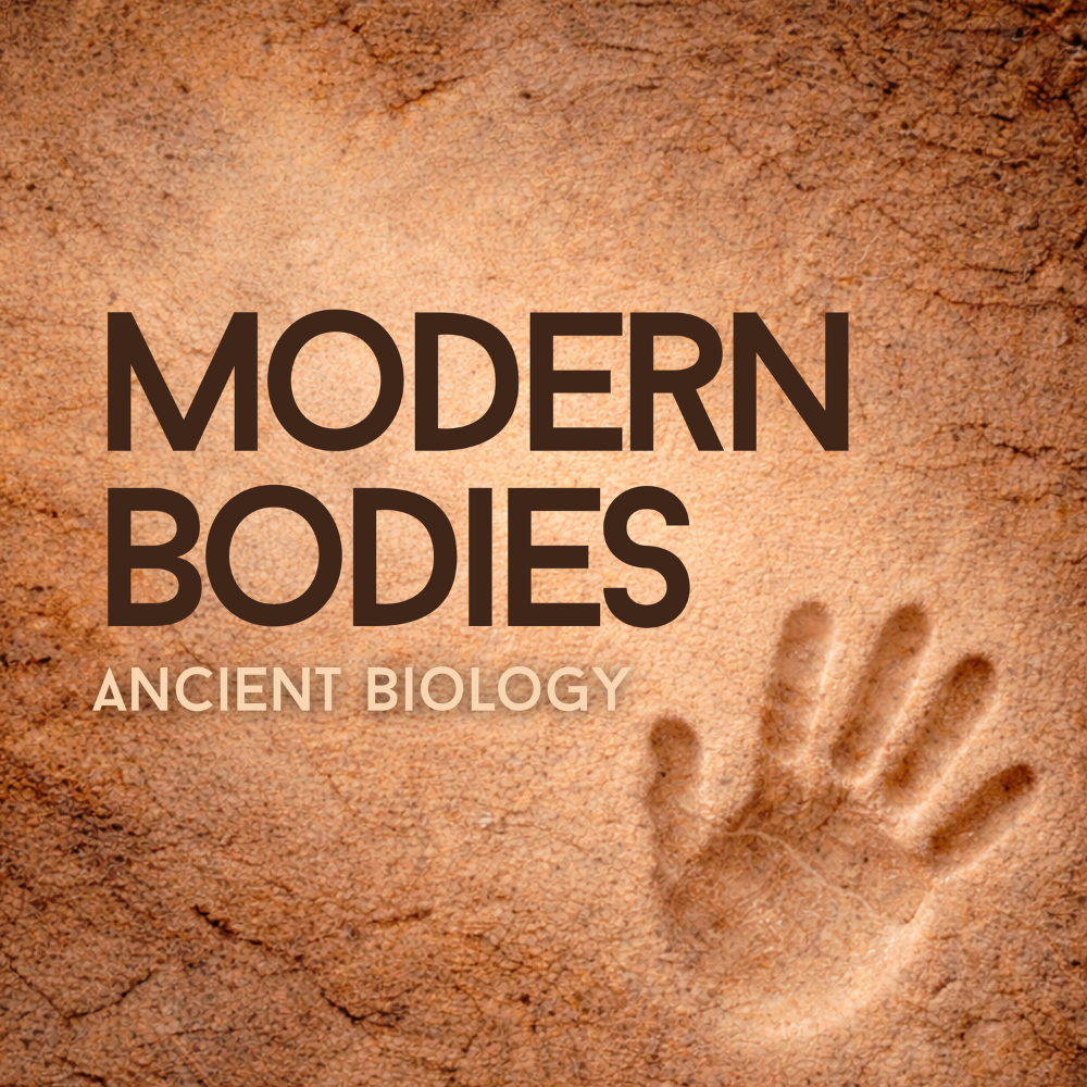 Modern Bodies