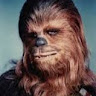 chewy79 bacca