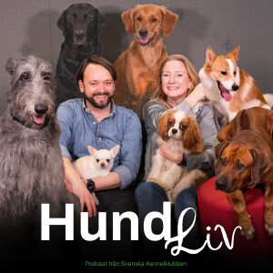 Hundliv - en podd från Svenska Kennelklubben