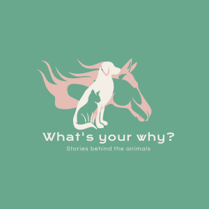 What's your why? Episode 3 - Emily Harvey