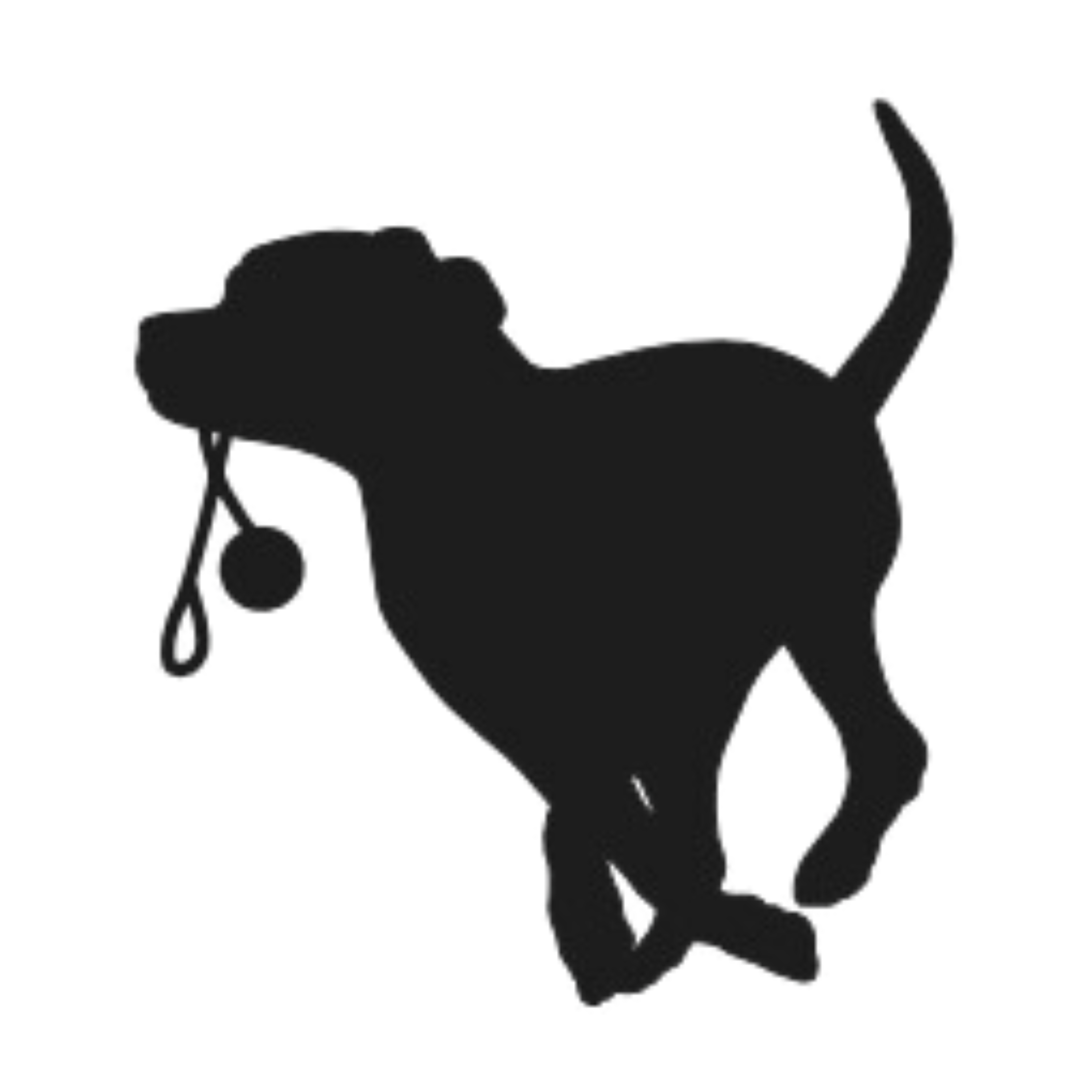 Auf die Ohren, fertig, los!