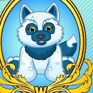 webkinz reading