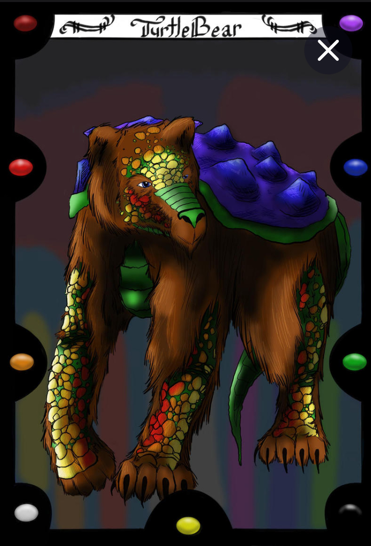 The Turtle Bear