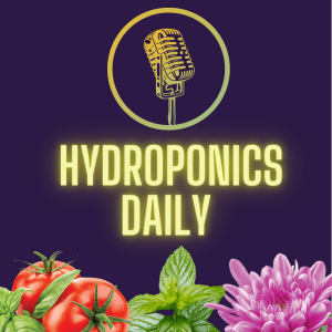 Growth Regulators in Hydroponics