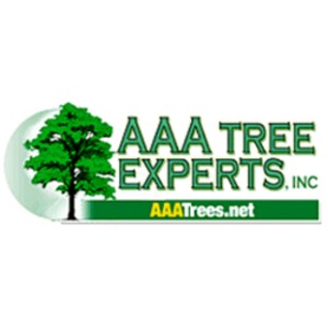 Top 5 Reasons to Prioritize Tree Trimming in 2025