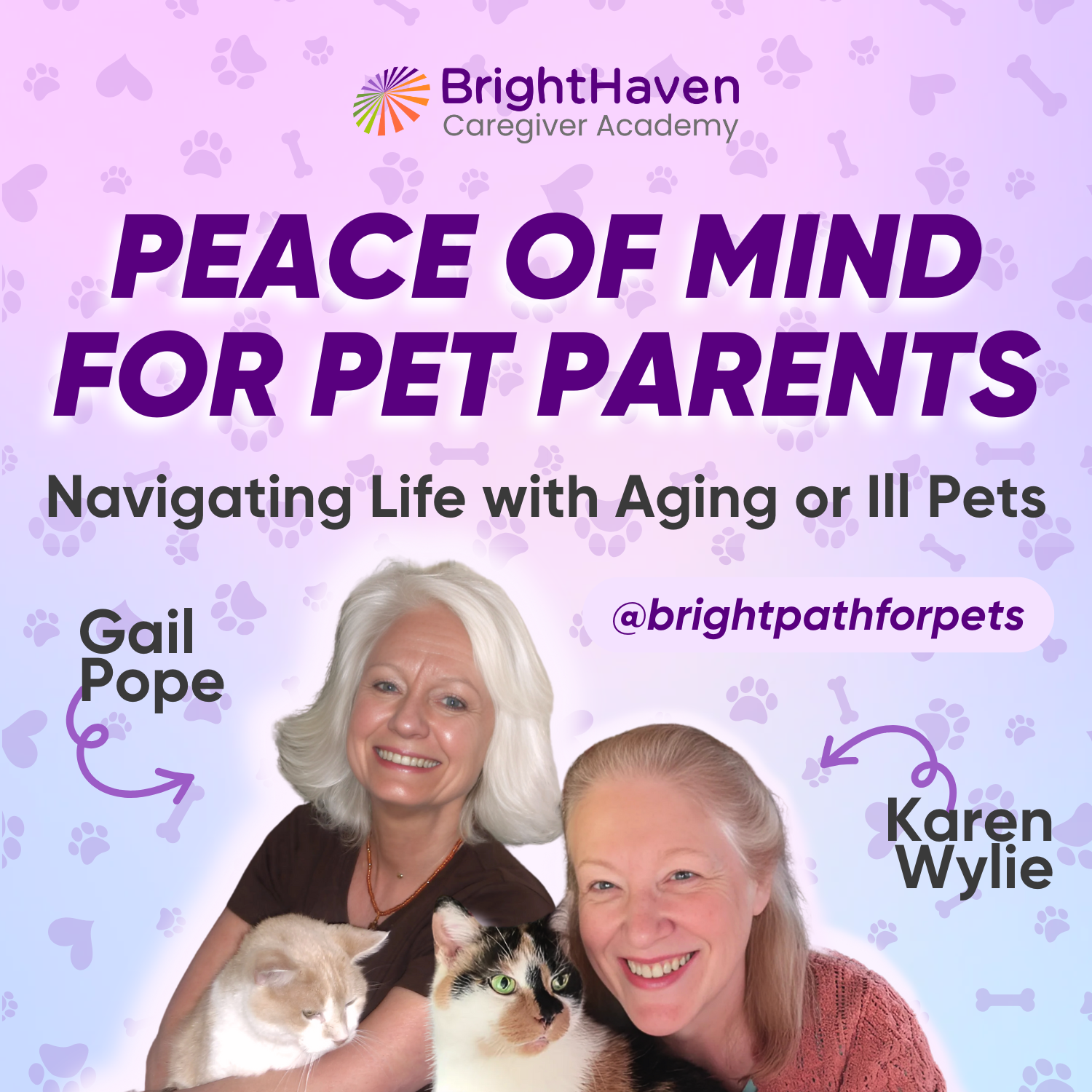 Peace of Mind for Pet Parents: Navigating Life With Aging or Ill Pets