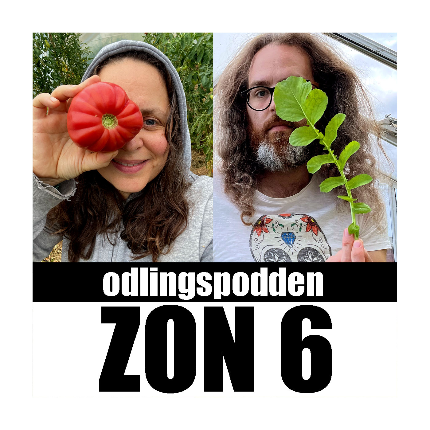 Zon 6