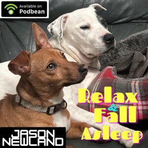 (no music) #1273 This week - Let me bore you to sleep (19th January 2025)