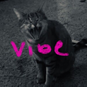 untitled pod. loading…