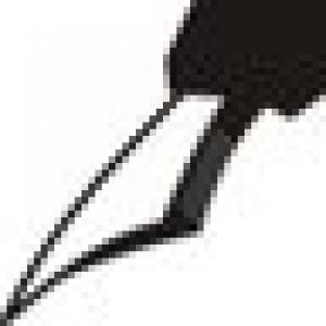User Podcast Logo