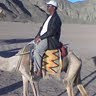 Y Mshana