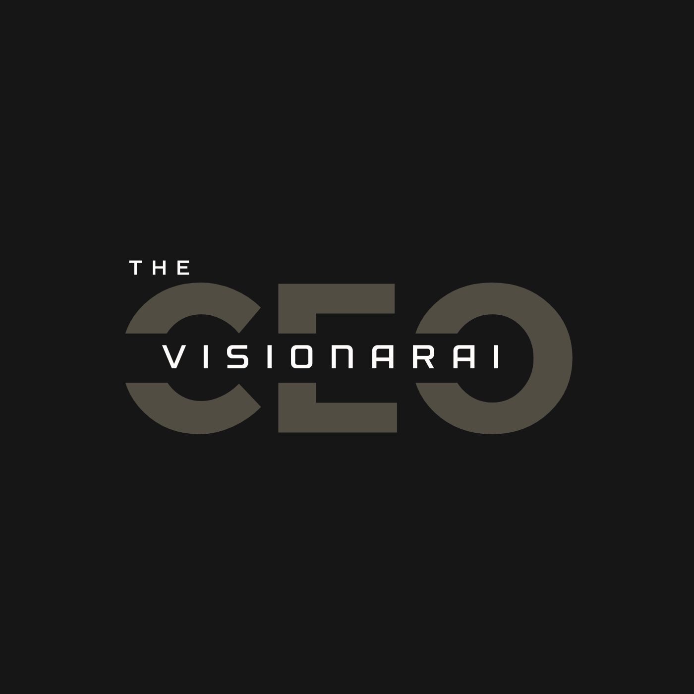 The VisionarAI CEO
