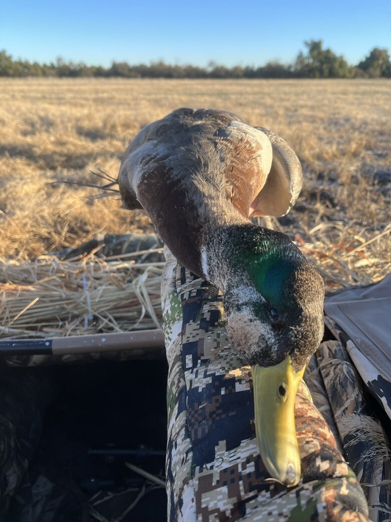 Hunter S
