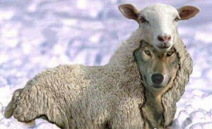 Deceit Deceive