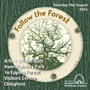 Follow the Forest