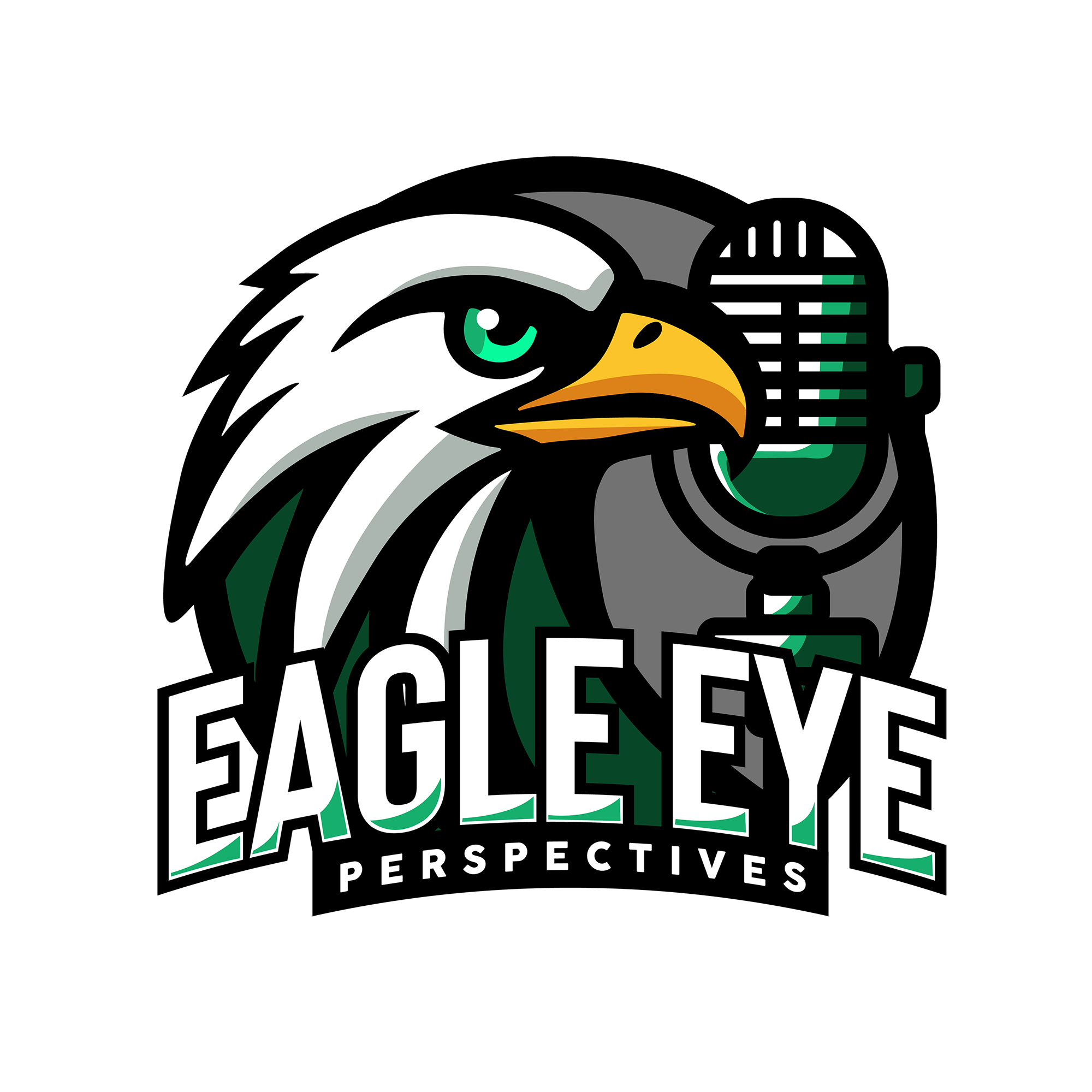 Eagle Eye Perspectives