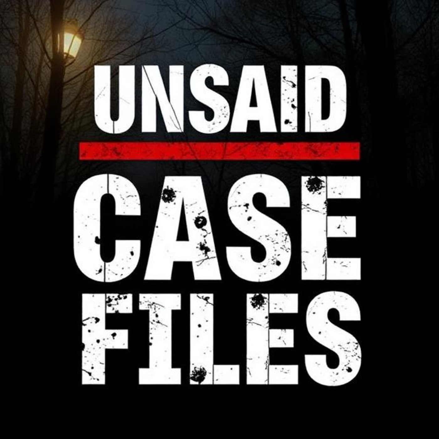 Unsaid Case Files cover