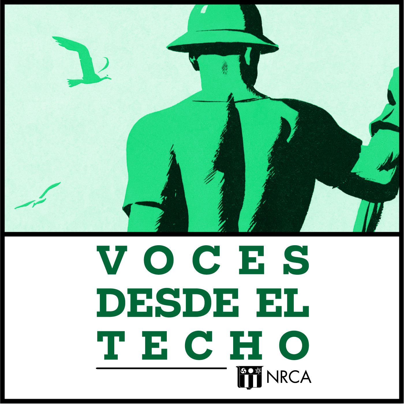 Voces Desde El Techo