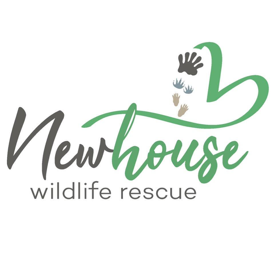 Profile logo