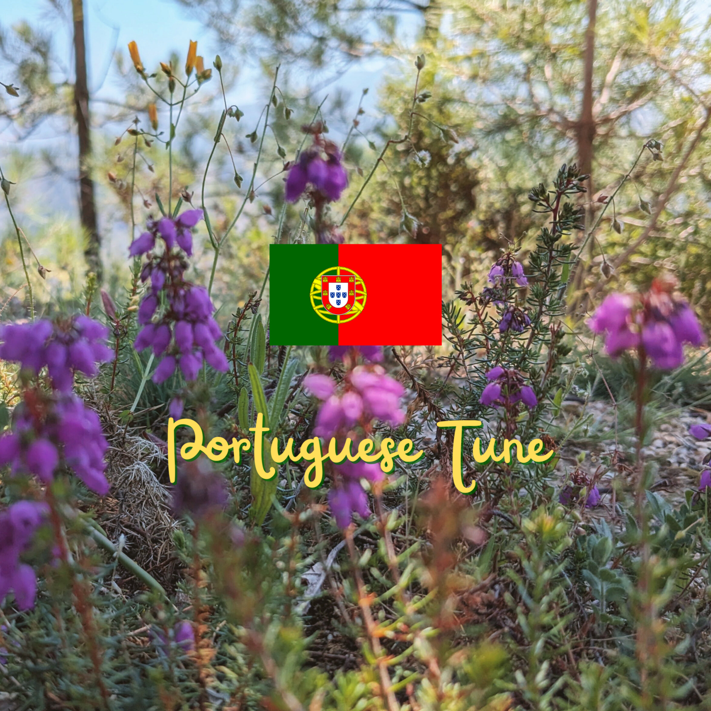 Portuguese Tune Podcast | Learn European Portuguese
