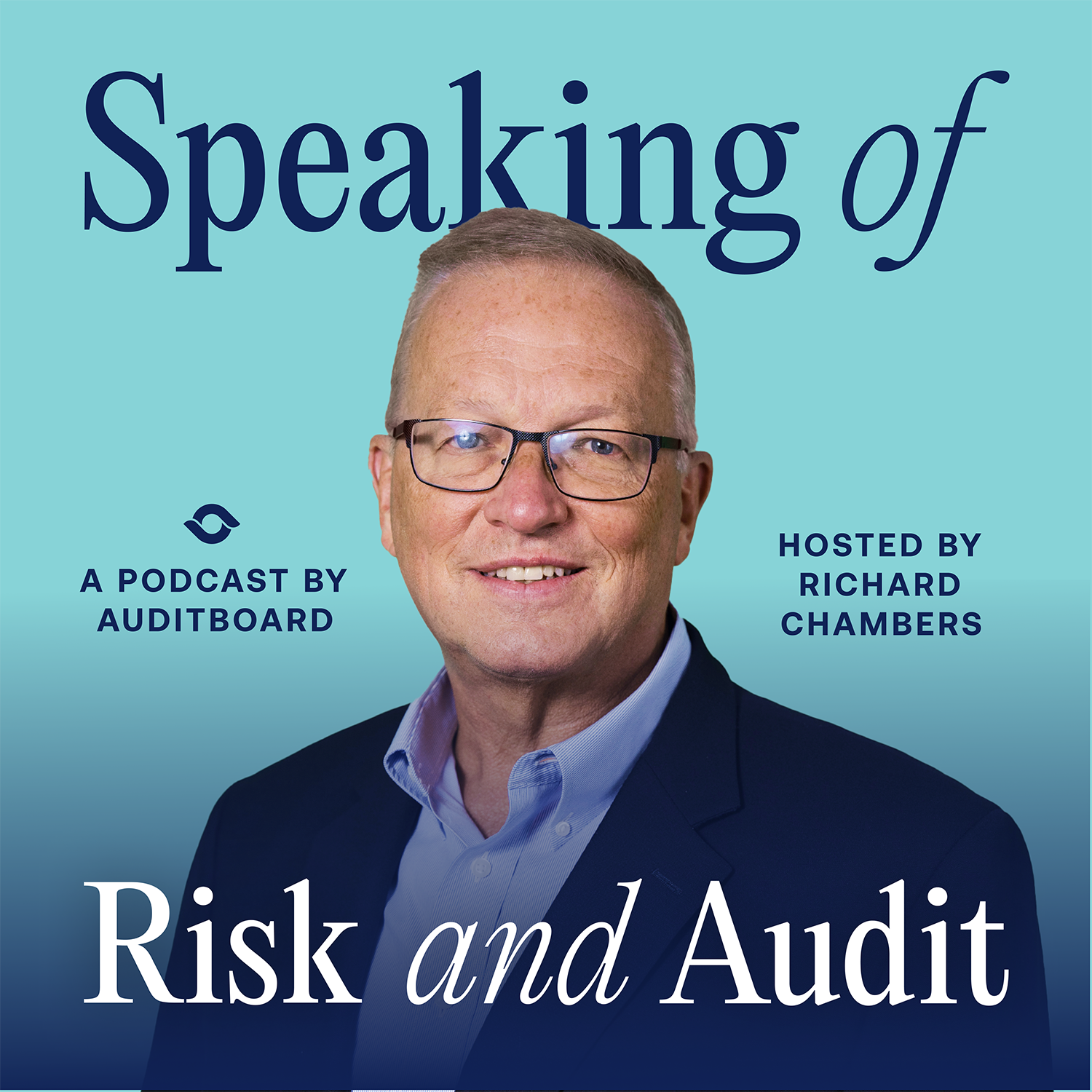 Speaking of Risk and Audit