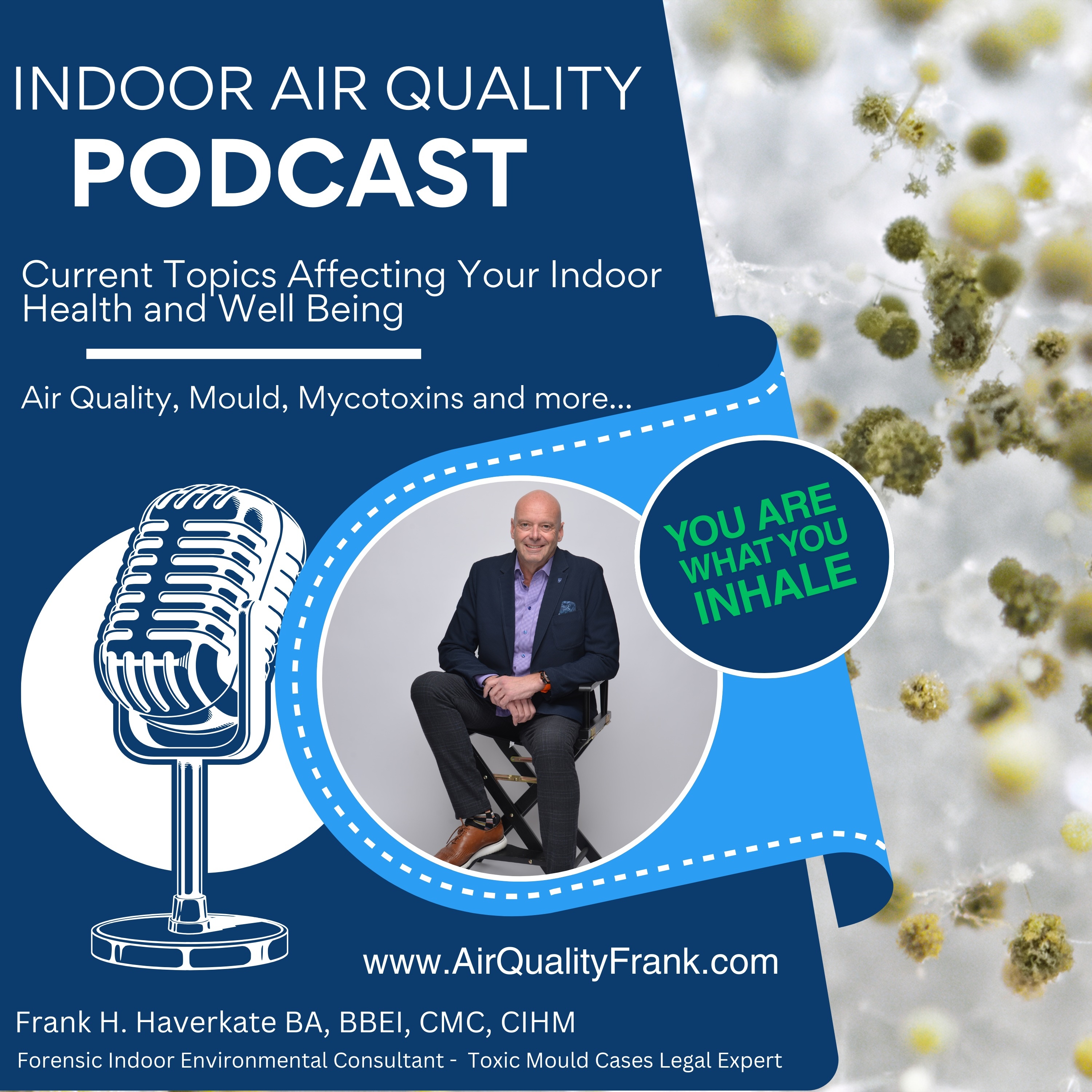 You Are What You Inhale Podcast - By Air Quality Frank cover art