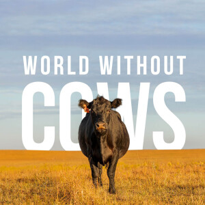 Nature's ultimate recyclers | World Without Cows Podcast: Episode 3 — Brian Sundberg