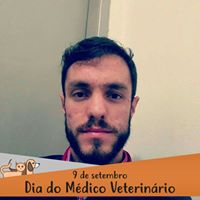 luismacedo415