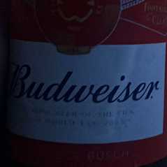 budz