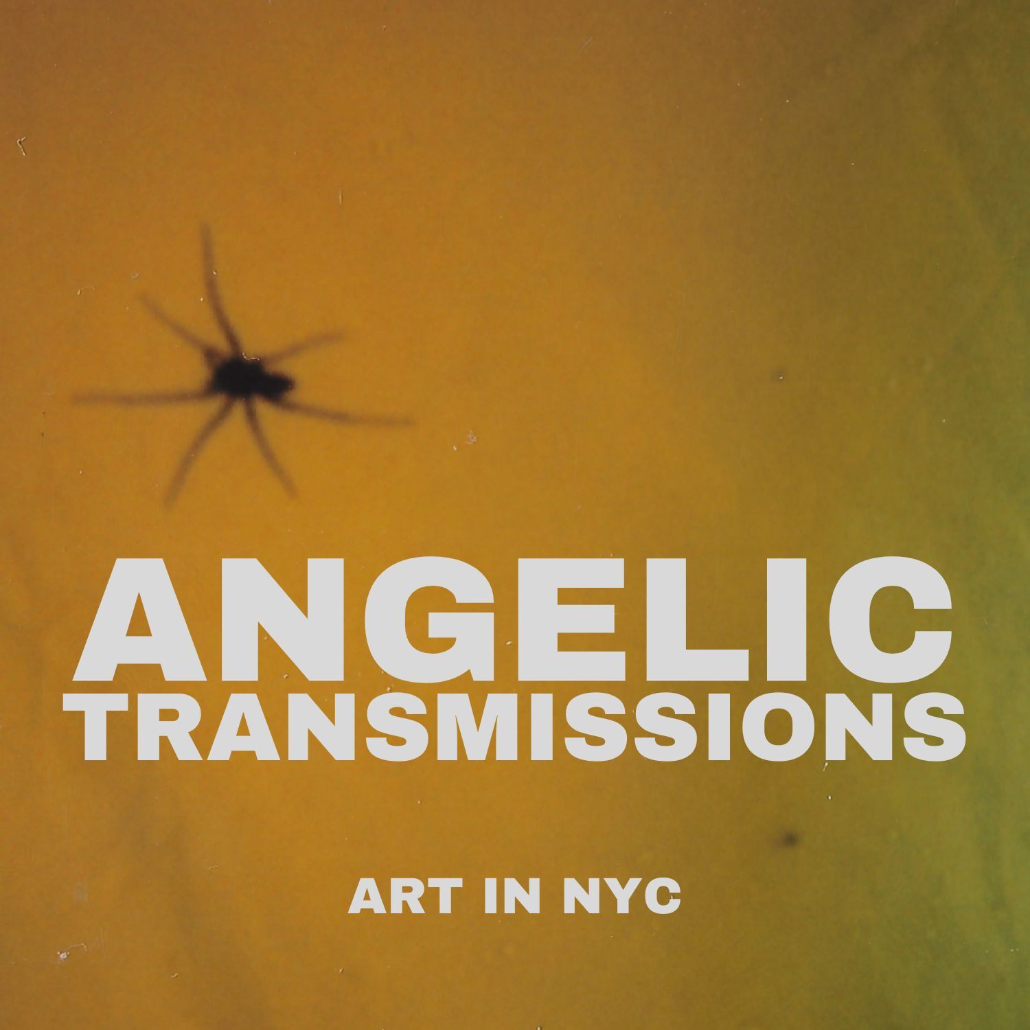 ANGELIC TRANSMISSIONS