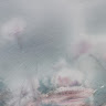 南极水