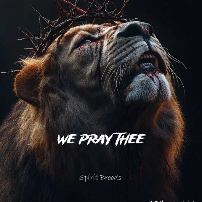 Stephen 🙏🔥