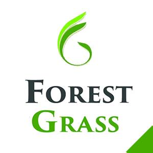 Forest Grass