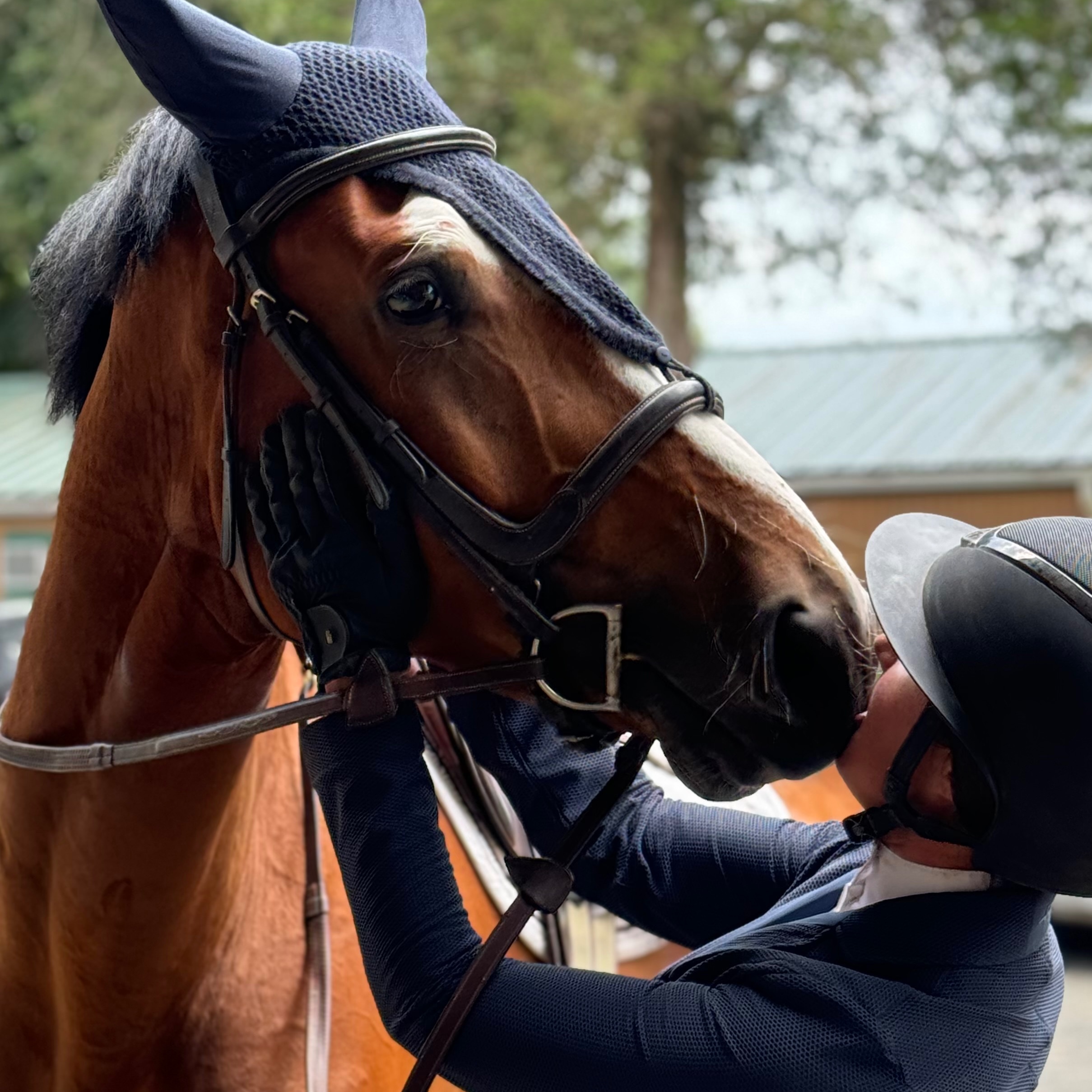 Raising The Bar: Stories From The Equestrian World