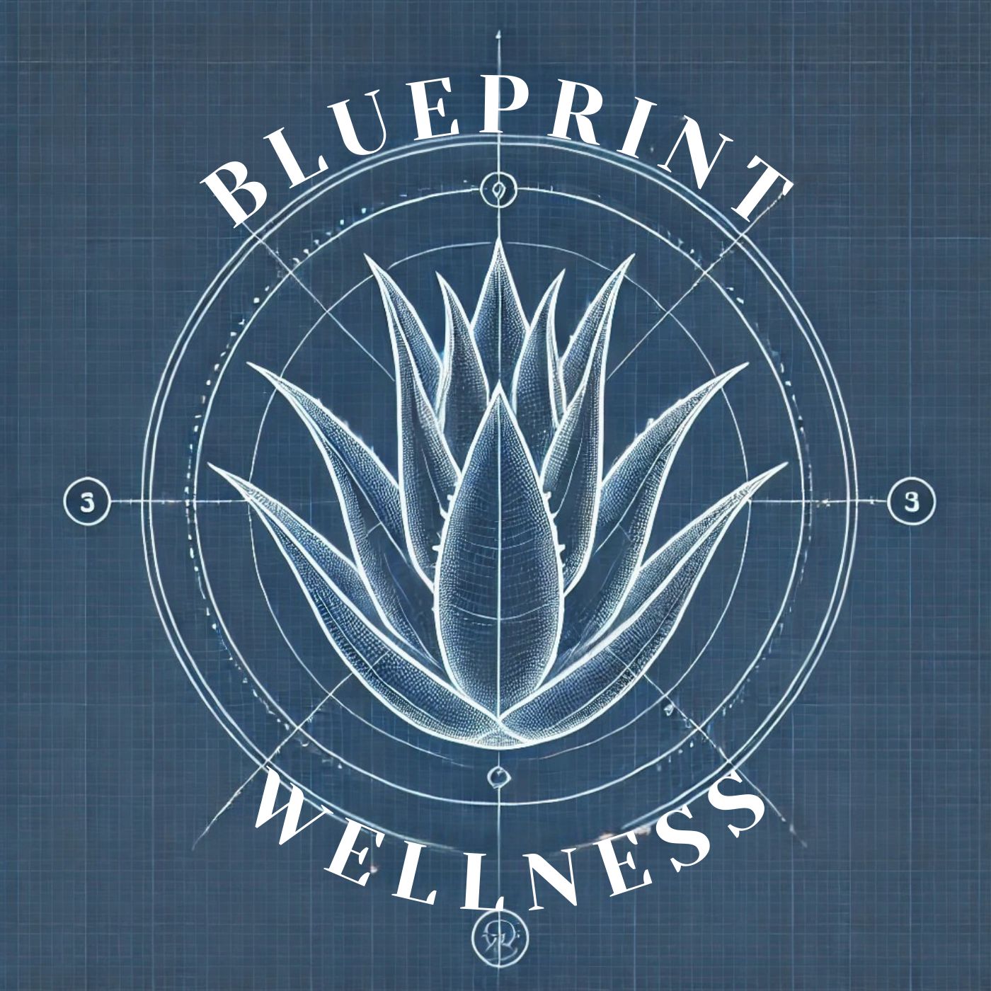 Blueprint Wellness by Blue Agave Functional Medicine