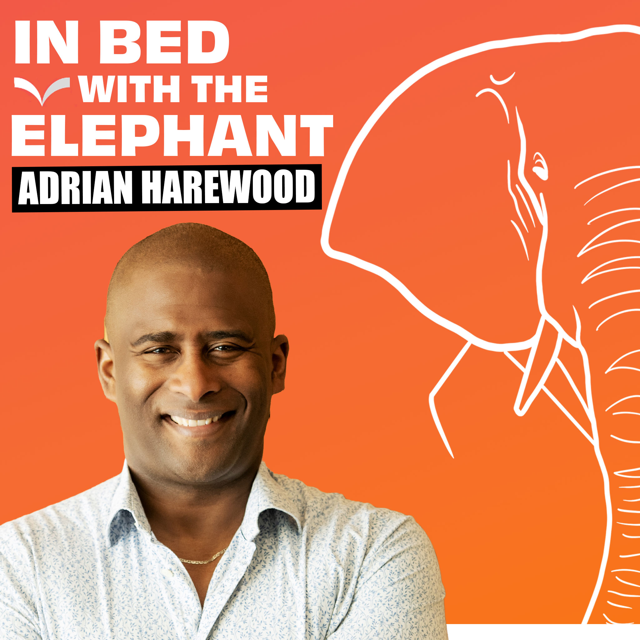 In Bed with the Elephant podcast artwork