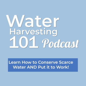 That Time I Flunked Water Harvesting