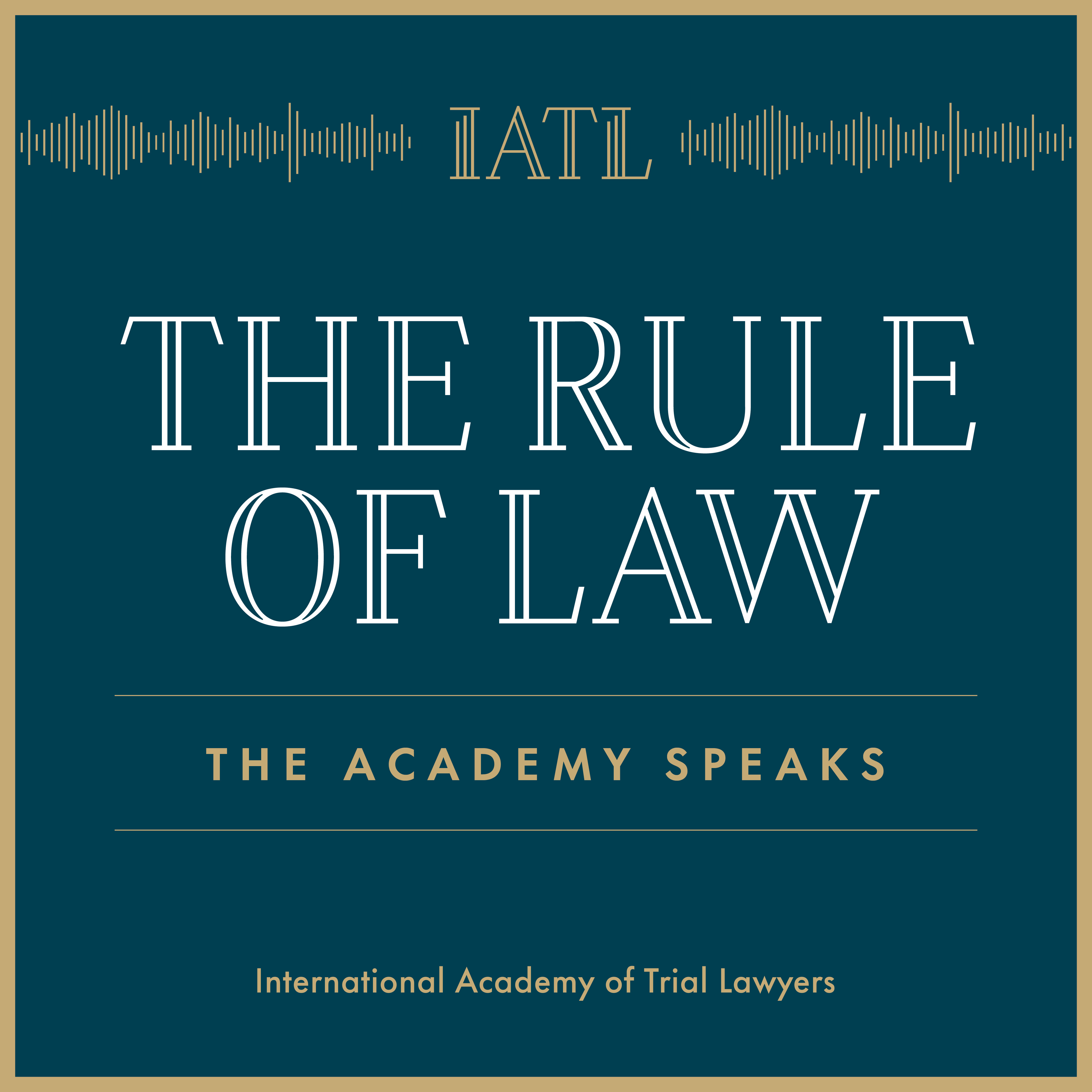The Rule of Law: The Academy Speaks