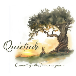 Ep 007 - The Youngest Being