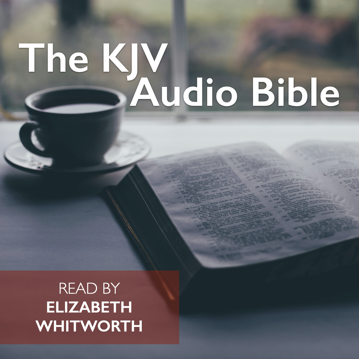 The KJV Audio Bible