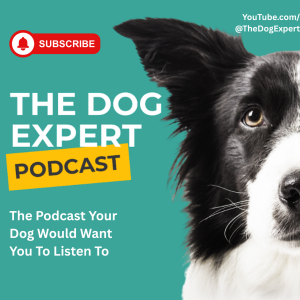 The Dog Expert Podcast_ Season 1_ Episode 4 - I_ve Got a Reactive Dog - Now What_