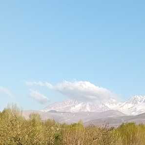 setare