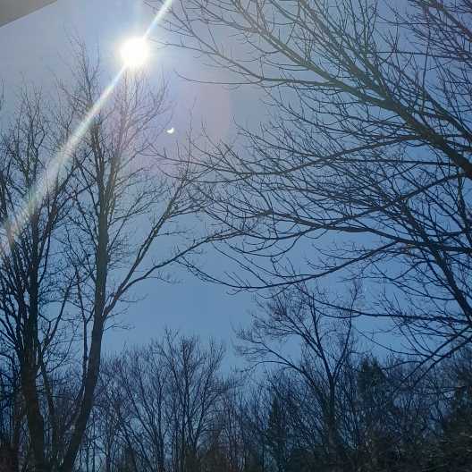 🌞Sunshine🌞