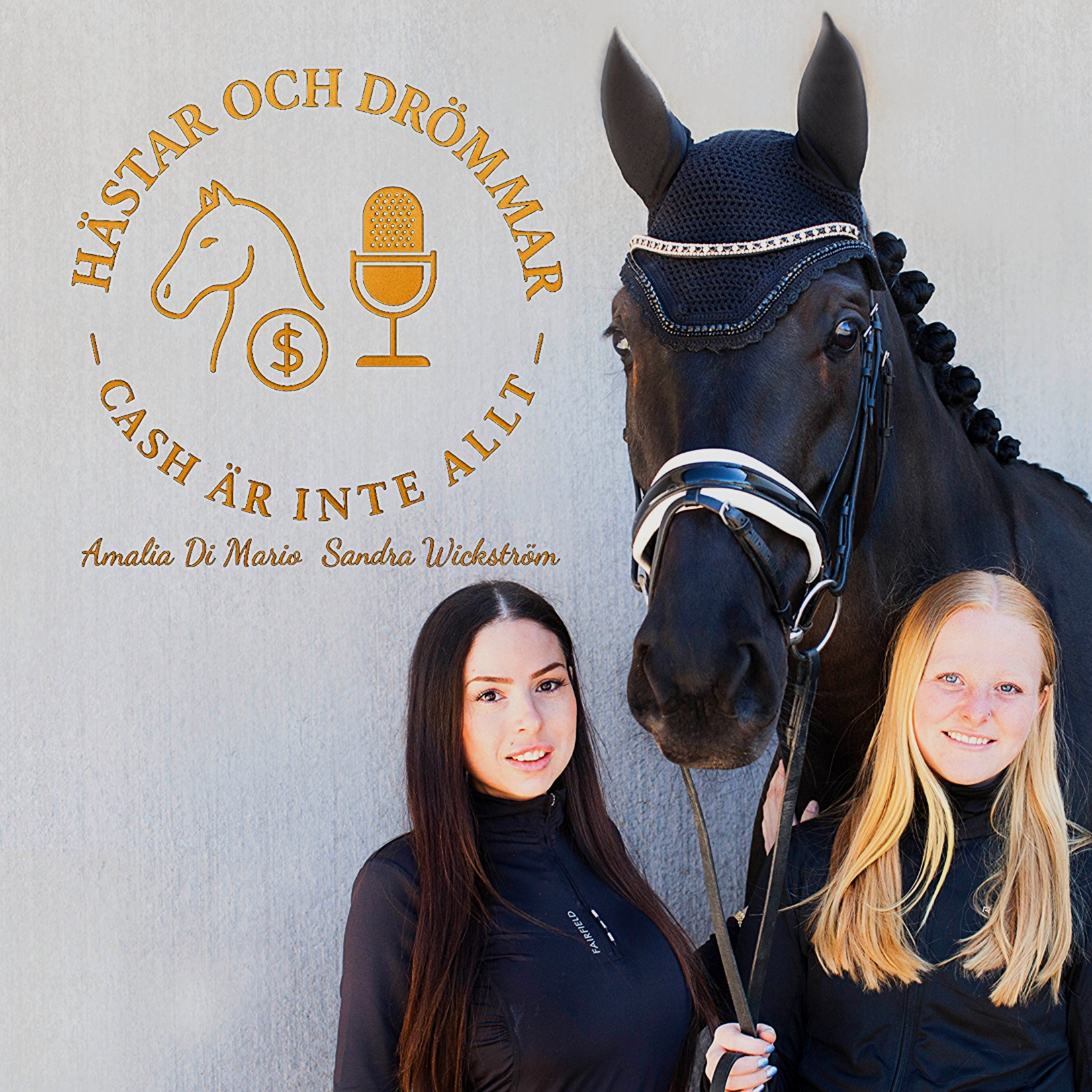 Hästar & Drömmar podcast artwork