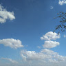 فرساد