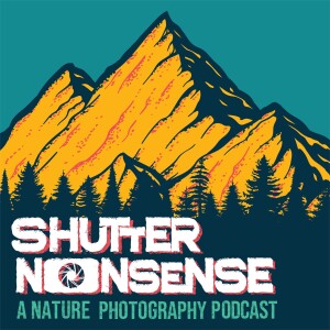 Shutter Nonsense