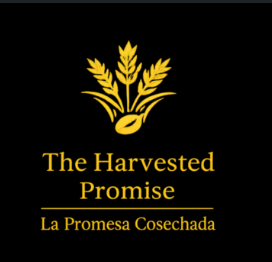 theharvestedpromise