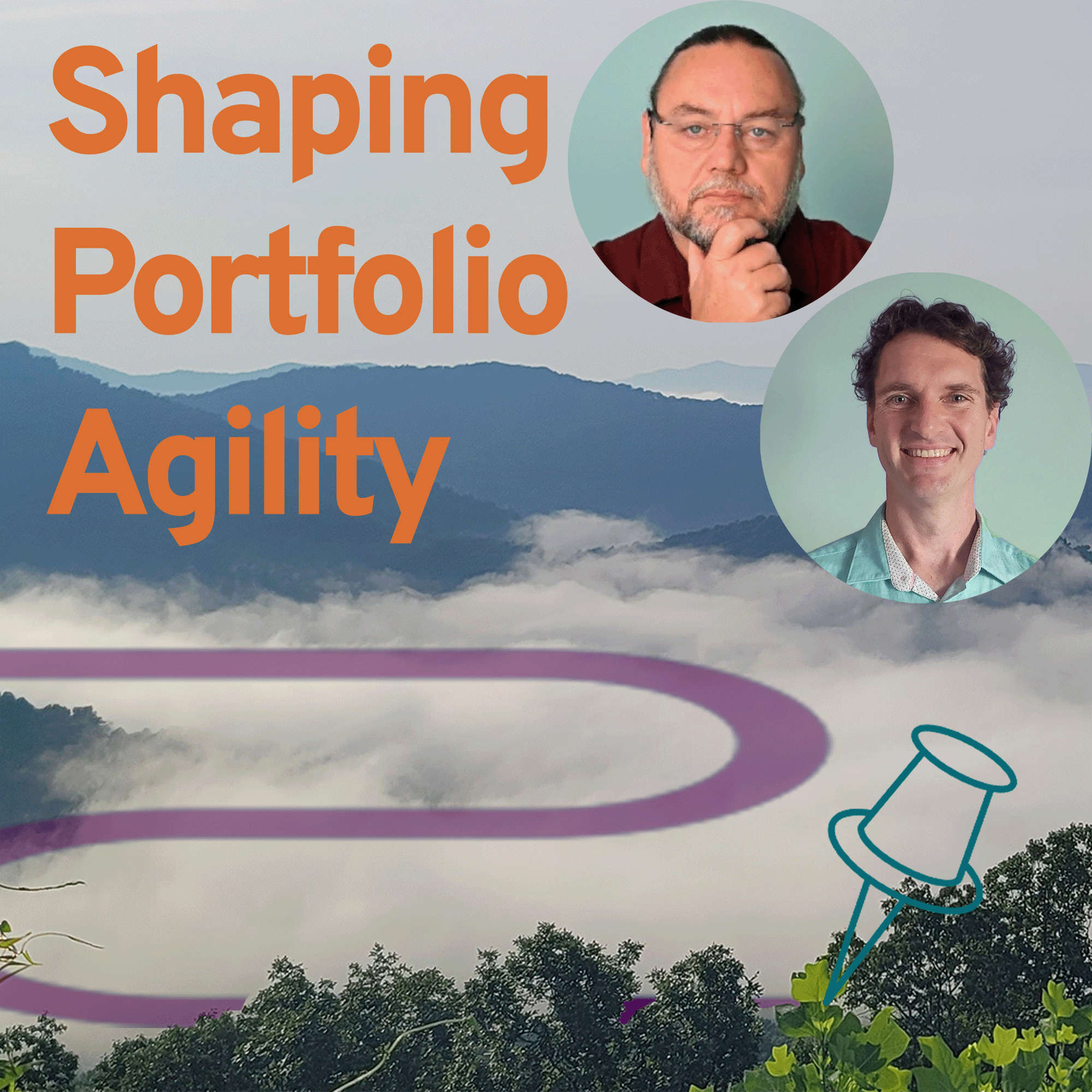 Shaping Portfolio Agility Artwork